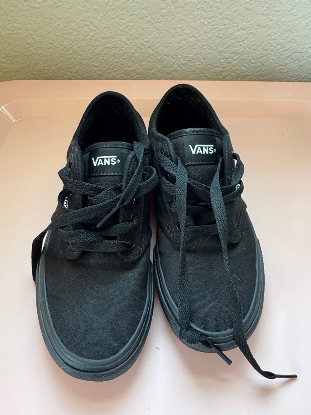 Vans Black Low-Top Canvas Sneakers